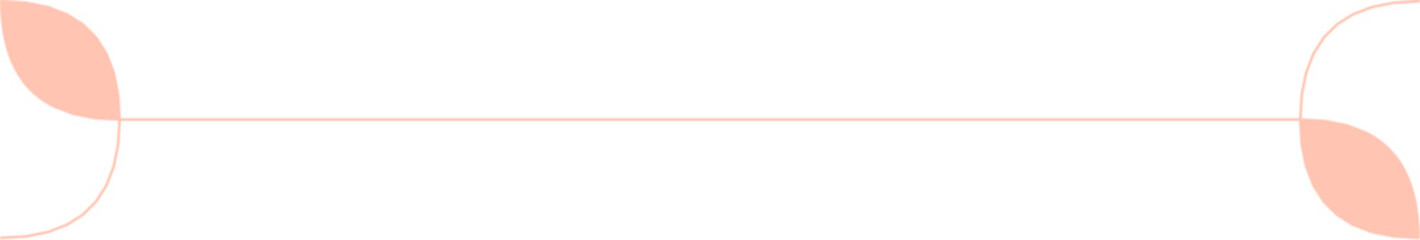 Floral Aesthetic Divider Line Art