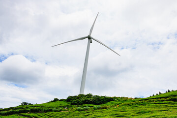 wind power