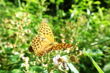 Brandkapelle in 86653 Monheim