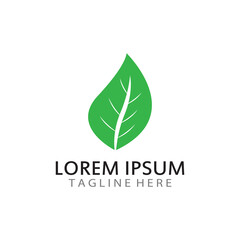 natural green leaf logo icon template