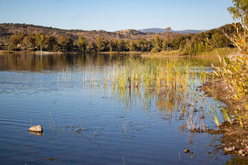 lake in autumn