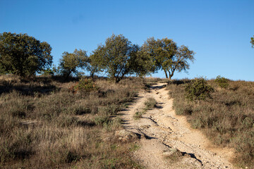 Fototapeta premium path in the mountains