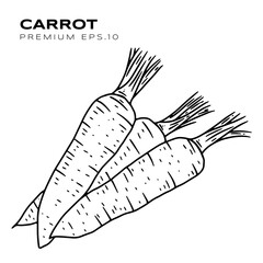 carrot  illustration for vegetarians premium vector
