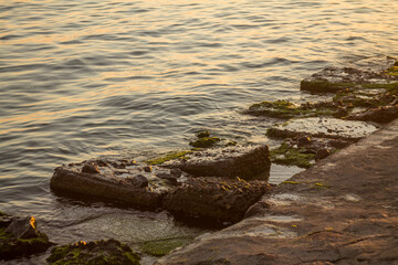 Sea and stones
