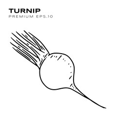 turnip illustration for vegetarians premium vector