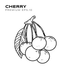 cherry illustration for vegetarians premium vector
