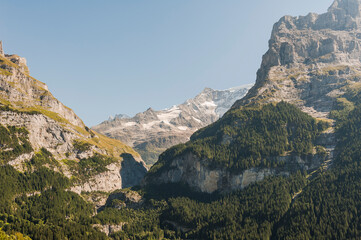 Grindelwald, Unterer Grindelwaldgletscher, Eiger, Eigernordwand, Schreckhorn, Alpen, Fiescherhörner, Finsteraarhorn, Berner Oberland, Bergdorf, Sommer, Schweiz