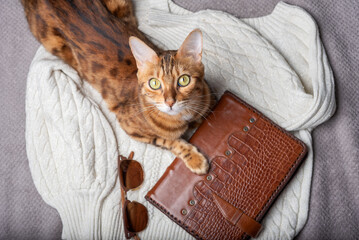 A cat lying on a white sweater with a leather-bound diary.