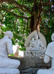 Stone carving of Buddha under the tree.