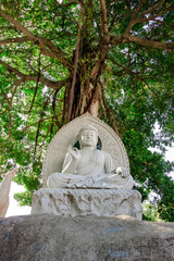 Stone carving of Buddha under the tree.