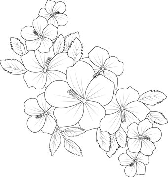 Azalea bouquet of flowers and branch vector illustration. hand, Drawing vector illustration zentangle design for the coloring book or page Black and white engraved ink art, isolated  for kids or adult