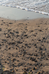 Seaside pebbles on the beach
