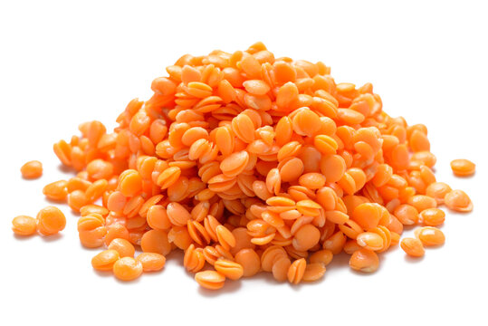 Soaked Red Lentils Texture Isolated On White Background