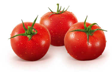 Três tomates suados em fundo branco