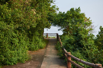 Fototapeta premium eco-trail fenced with a low wooden fence surrounded by green trees
