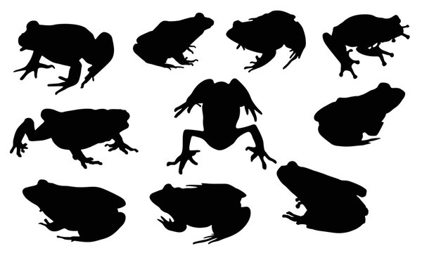 Frog silhouette with various expressions set of 10 vector illustration