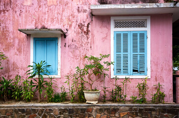 beautiful blue wooden shutters on a pink building and tropical plants