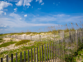 Fototapeta premium Snow fence in sand dunes on the Atlantic Ocean beach in Washington Oaks Gardens State Park in Palm Coast Florida USA