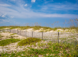 Snow fence in sand dunes on the Atlantic Ocean beach in Washington Oaks Gardens State Park in Palm Coast Florida USA