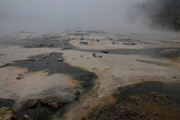 Semuliki National Park in Fort portal in Uganda