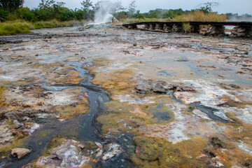 Semuliki National Park in Fort portal in Uganda