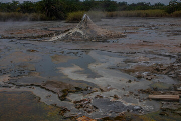 Semuliki National Park in Fort portal in Uganda