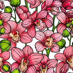 Pink orchids on white background, seamless pattern. hand drawn illustration. Exotic tropical flowers
