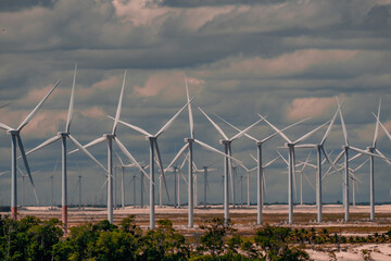 Wind turbines at the beach