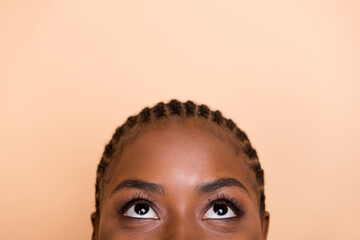 Cropped photo of braids hairdo young lady half face look promo isolated on beige color background