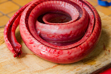  snake meat