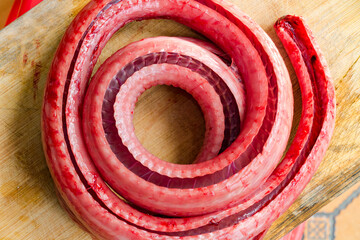  snake meat
