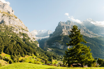 Grindelwald, Unterer Grindelwaldgletscher, Eiger, Eigernordwand, Schreckhorn, Alpen,...