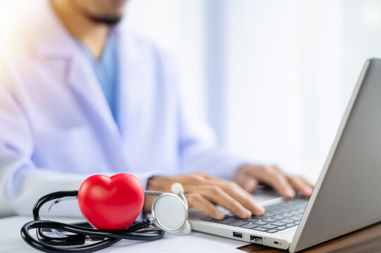 Doctor hands holding red heart and kidney with stethoscope, world kidney day, organ donor day - Powered by Adobe
