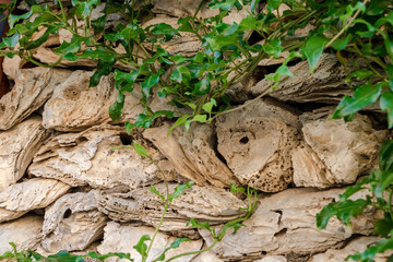 Naklejka premium tree in the forest