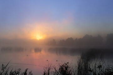 Wsch&oacute;d słońca na bagnach