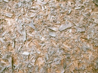 Shavings