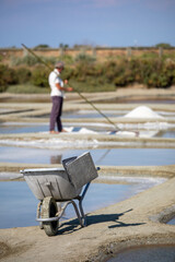 Saunier ou paludier récoltant le sel dans les marais salant de Guérande en France.