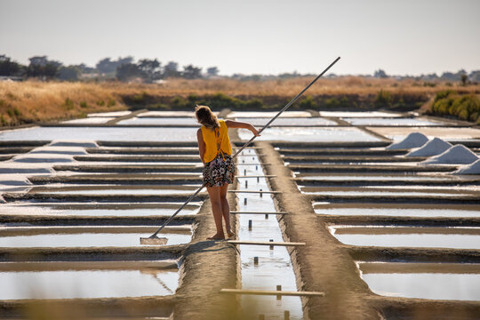 Marais salant et paludier r&eacute;coltant le sel en France dans les marais de Gu&eacute;rande ou Noirmoutier.