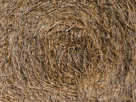 Close-up of a round staw bale in hard light.