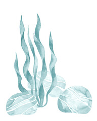 Sea pebbles and seaweeds watercolour. Sea stones blue. Sea rocks. Hand drawn painting. Marine underwater background