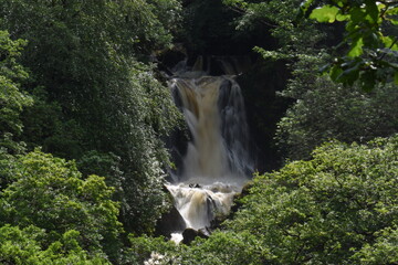 devils bridge waterfall in ceredigion surrounded by forest