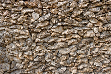 A wall of oyster shells.
