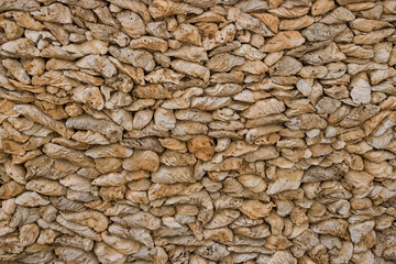 A wall of oyster shells.