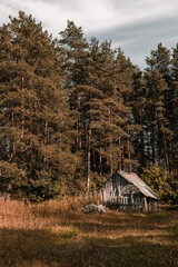 House on the corner of the forest
