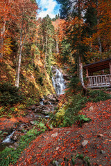 Fototapeta na wymiar Autumn landscape with a forest waterfall.