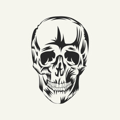skull black and white vector illustration. 