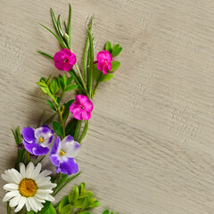 phlox,chamomile and violets on a wooden background. Place for your text.