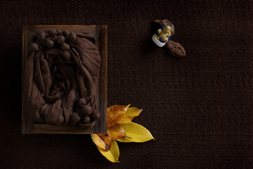Newborn digital backdrop with autumn leaves and baby space on a brown background, Buddha and wood...