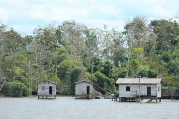 Casas ribeirinhas na margem do rio amazonas 