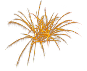 Brilliant burst of yellow fireworks isolated